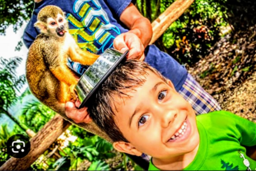-10% Monkey