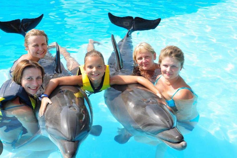 -10% DOLPHIN DISCOVERY DOWNTOWN
